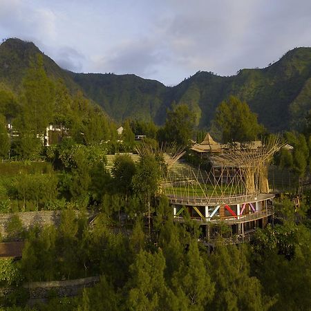 Pagupon Bromo Budget Lodge Luaran gambar